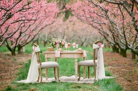 Garden party - inspiracje 5092