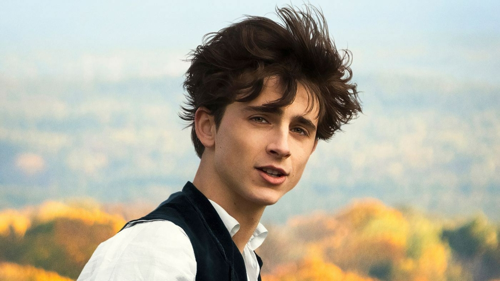 timothée chalamet filmy