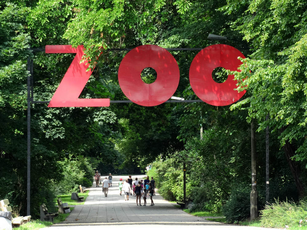 zoo