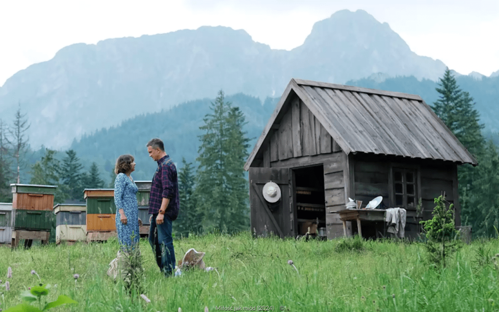 Miłość jak miód, polskie komedie romantyczne, kadr z filmu